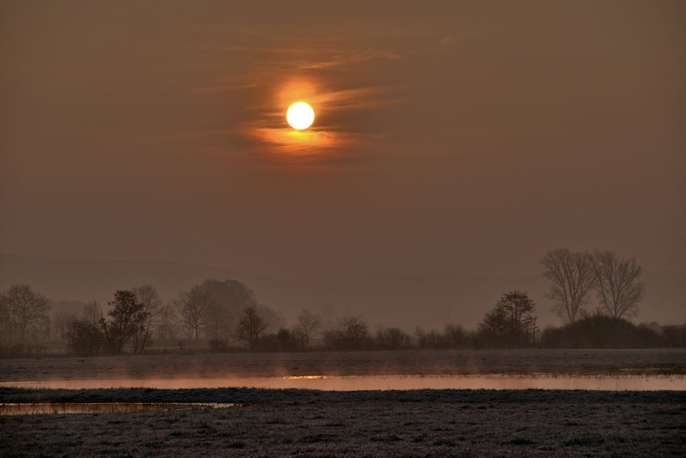 Morgenstimmung an den Altmühlauen