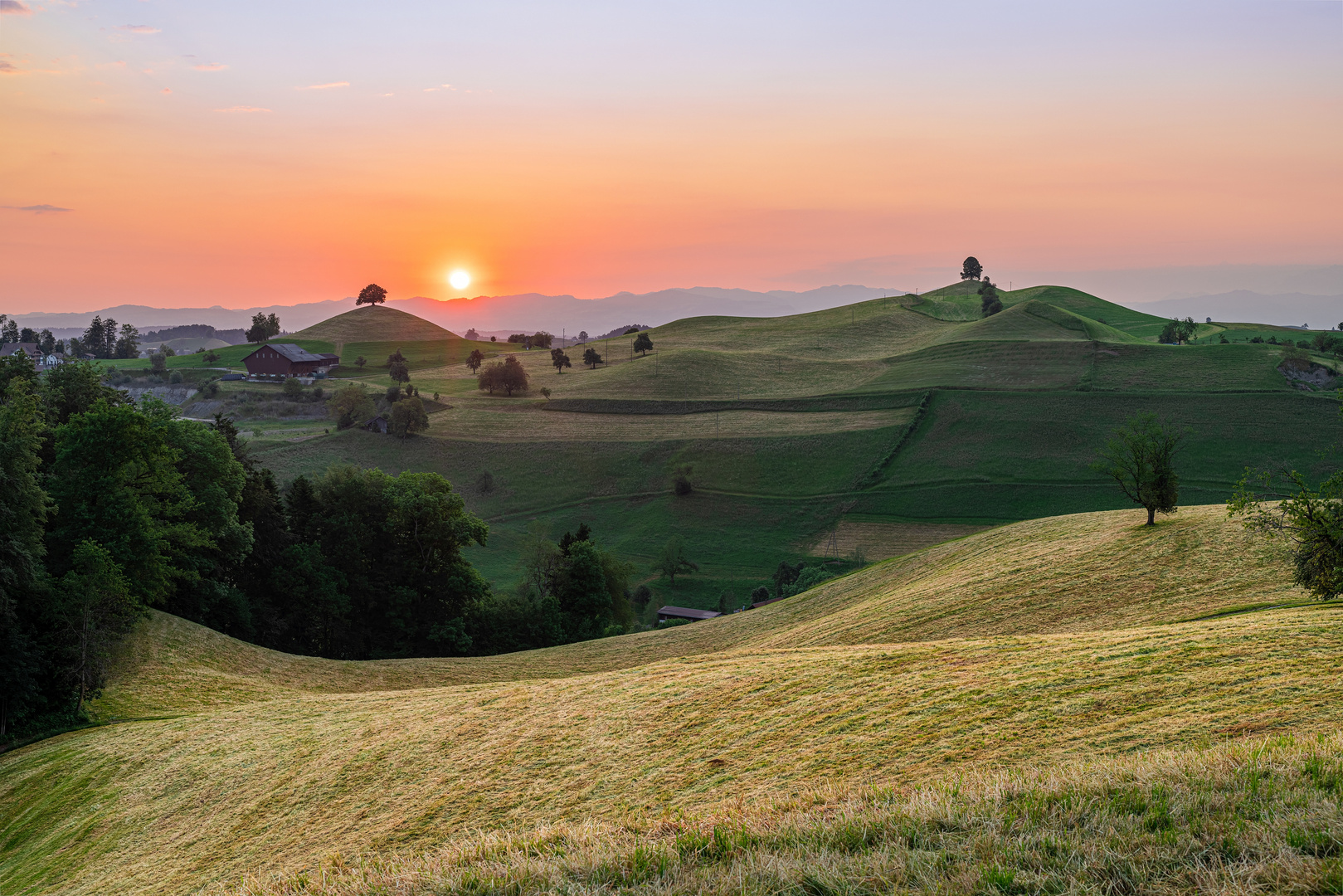 Morgenstimmung an den Drumlins