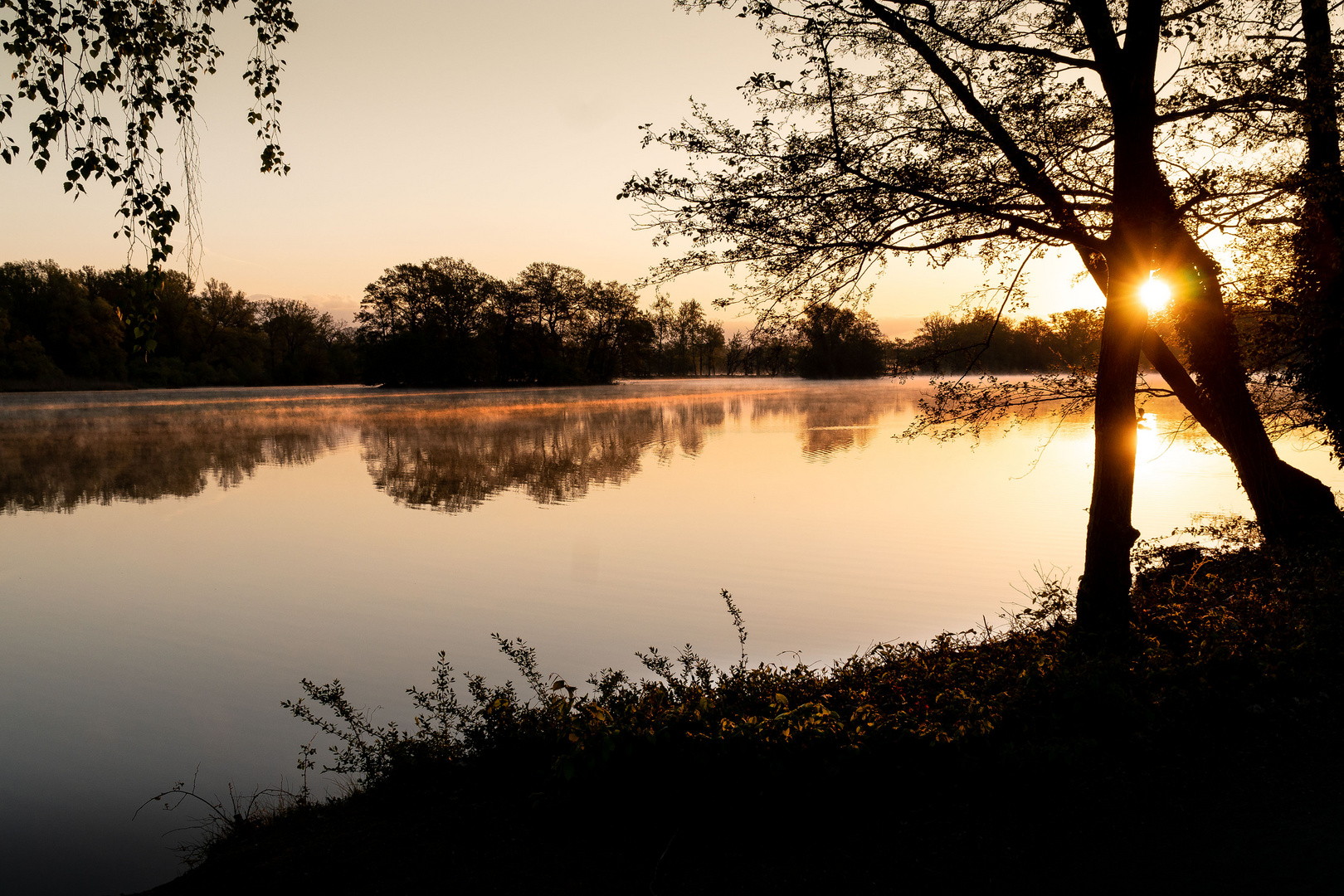 Morgenstimmung an den Kreuzteichen in Riddagshausen (1)