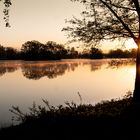 Morgenstimmung an den Kreuzteichen in Riddagshausen (1)