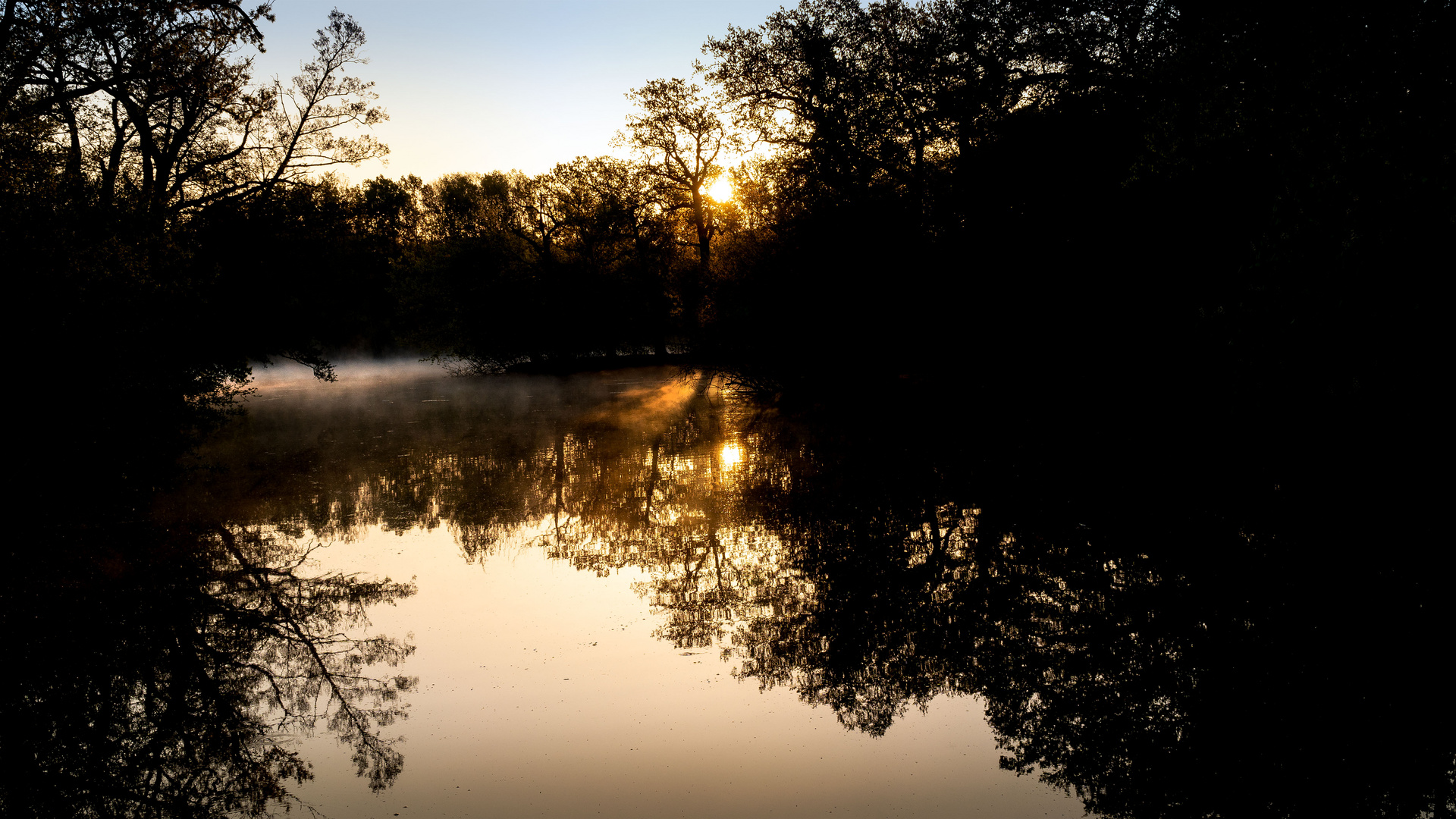 Morgenstimmung an den Kreuzteichen in Riddagshausen (2)