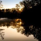 Morgenstimmung an den Kreuzteichen in Riddagshausen (2)