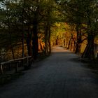 Morgenstimmung an den Kreuzteichen in Riddagshausen (4)