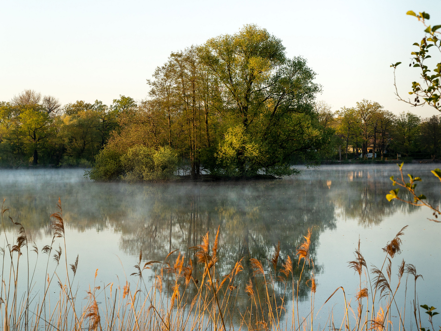 Morgenstimmung an den Kreuzteichen in Riddagshausen (6)