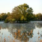 Morgenstimmung an den Kreuzteichen in Riddagshausen (6)