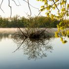 Morgenstimmung an den Kreuzteichen in Riddagshausen (7)