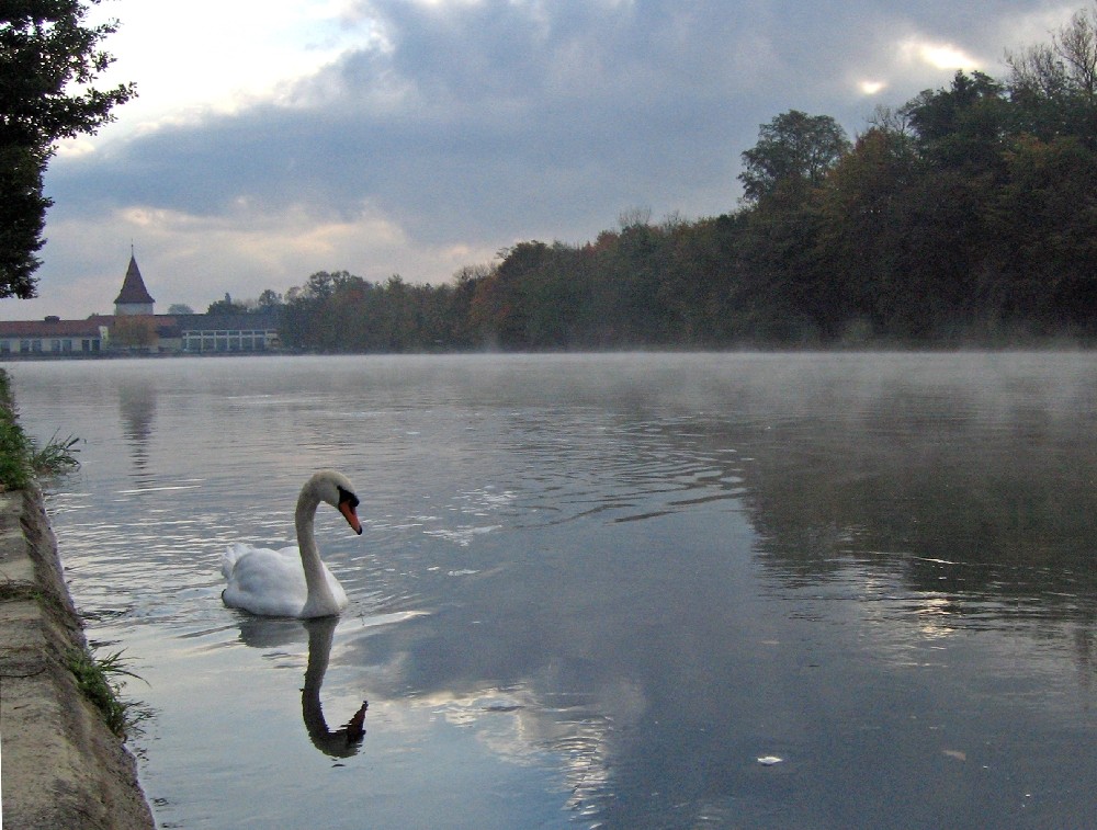 Morgenstimmung an der Aare bei Aarau / Schweiz