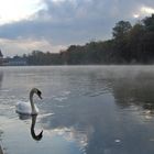 Morgenstimmung an der Aare bei Aarau / Schweiz