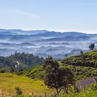 Morgenstimmung an der Badulla Road