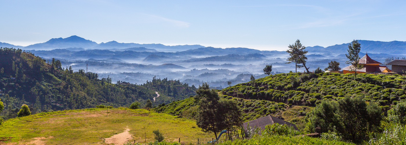 Morgenstimmung an der Badulla Road