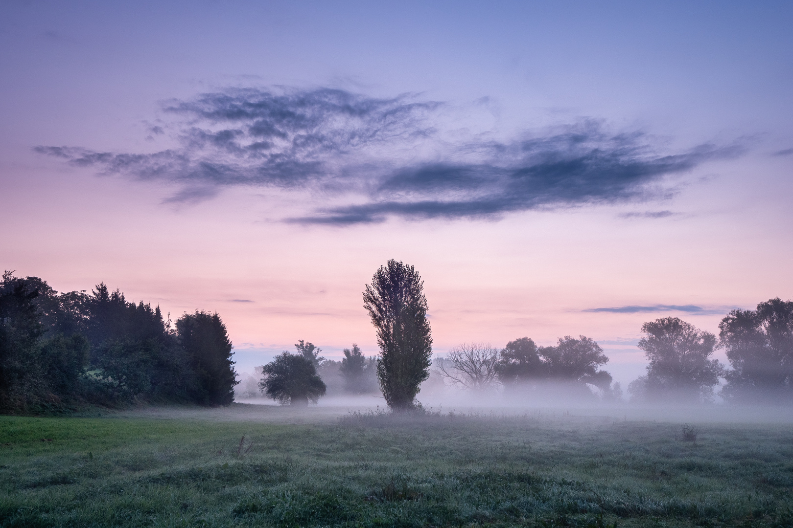 Morgenstimmung an der Donau