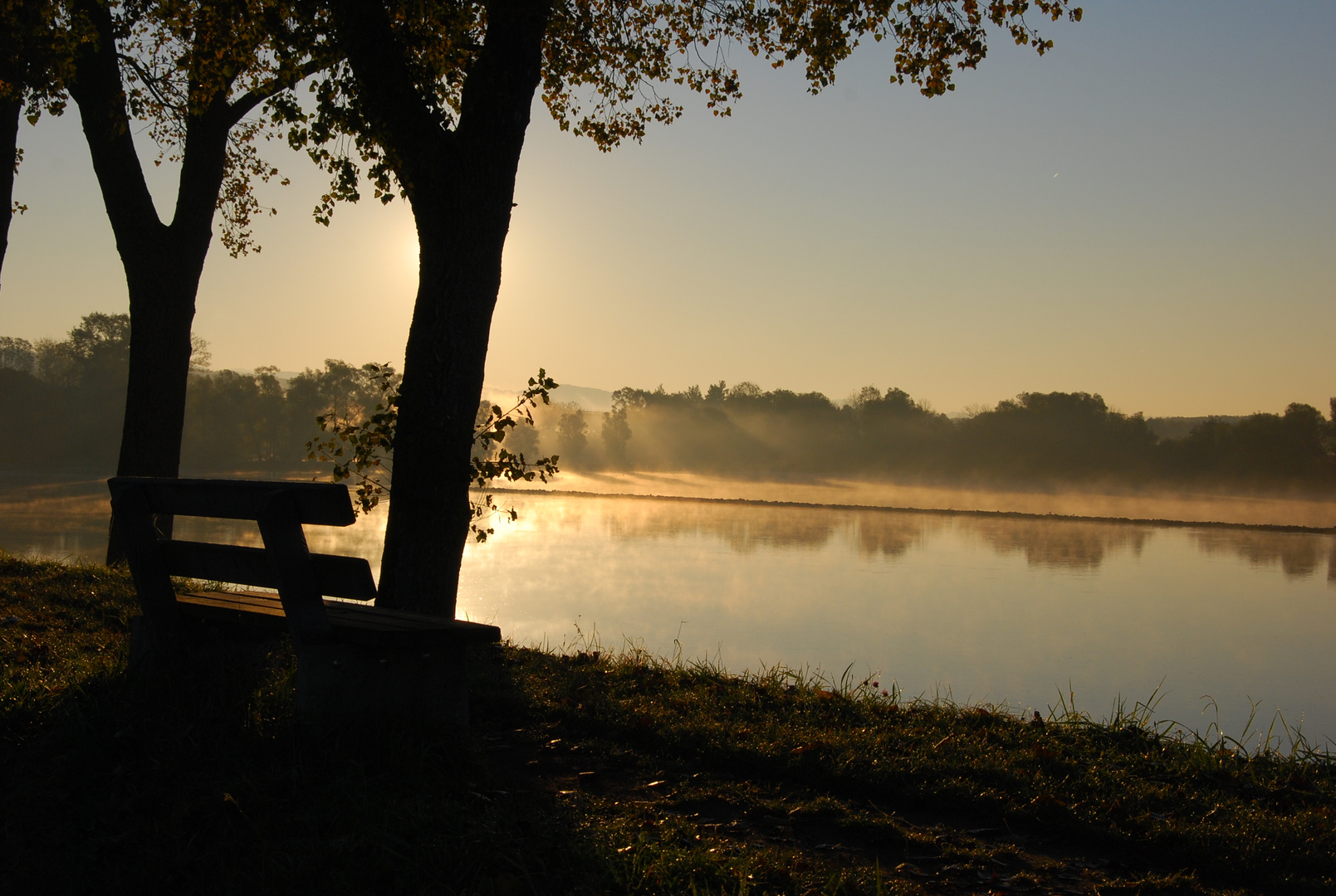 Morgenstimmung an der Donau