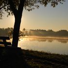 Morgenstimmung an der Donau