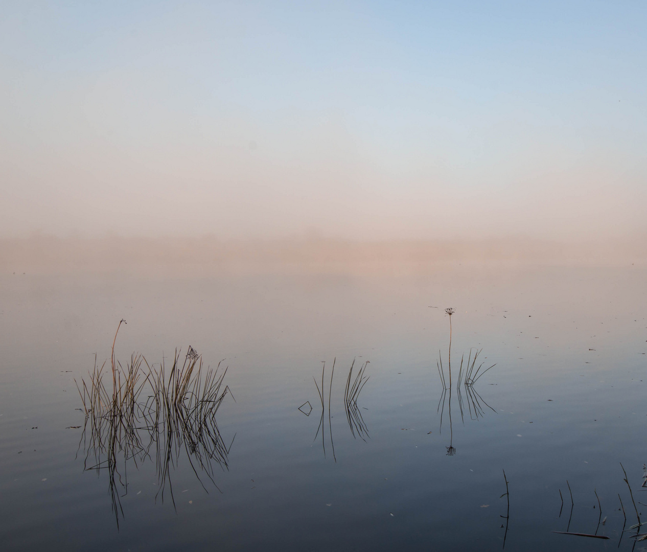 Morgenstimmung an der Ehle