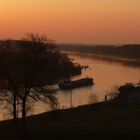 Morgenstimmung an der Elbe