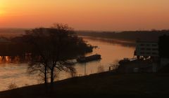 Morgenstimmung an der Elbe