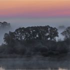 Morgenstimmung  an der  Elbe......