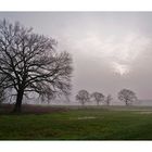 Morgenstimmung an der Elbe