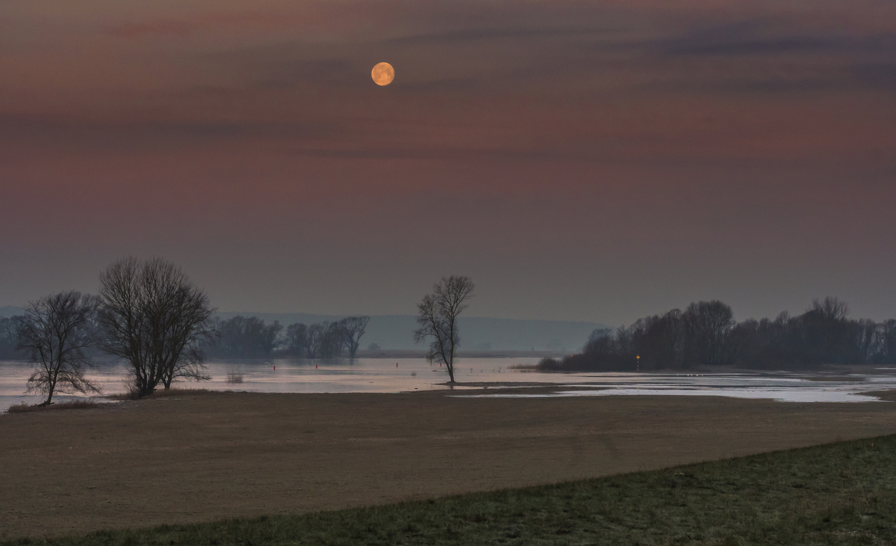 Morgenstimmung an der Elbe 