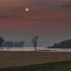 Morgenstimmung an der Elbe 