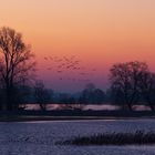 Morgenstimmung an der Elbe