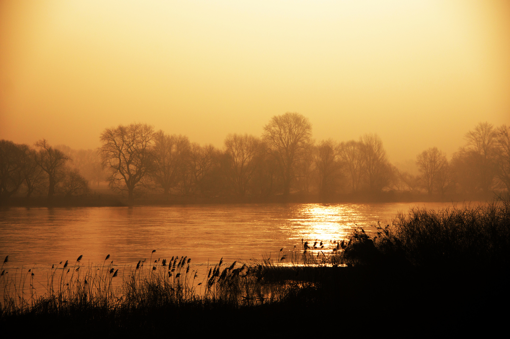 Morgenstimmung an der Elbe ist ...