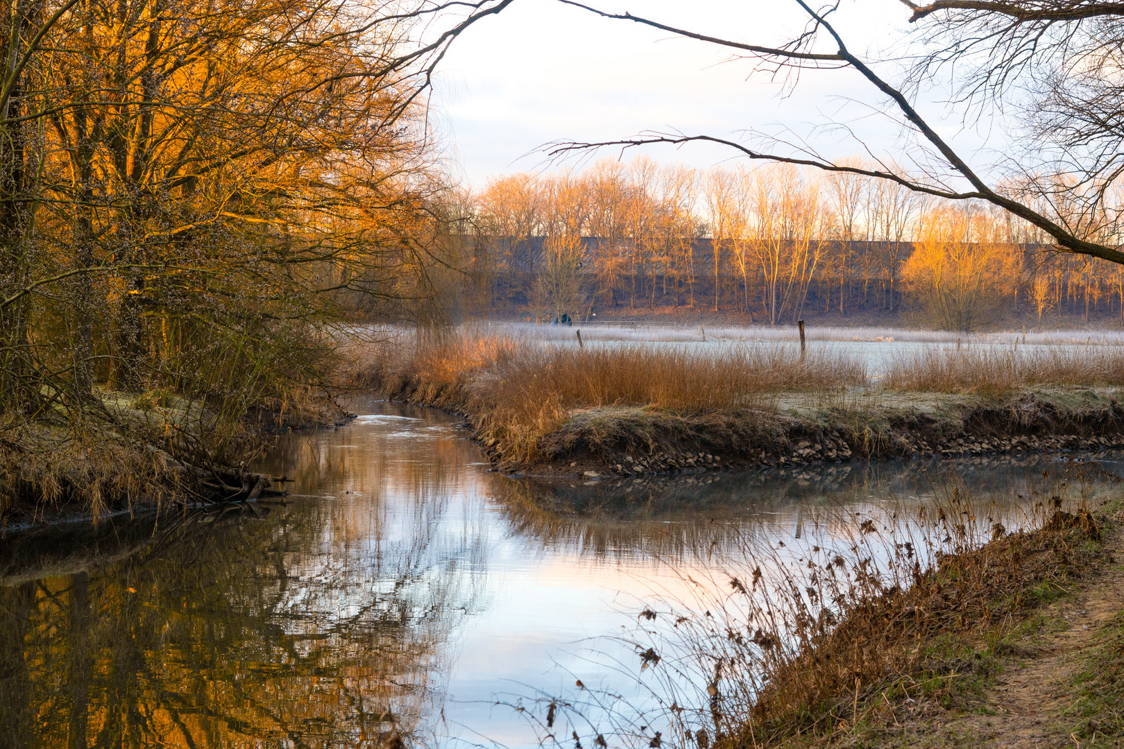 Morgenstimmung an der Else in Bünde 