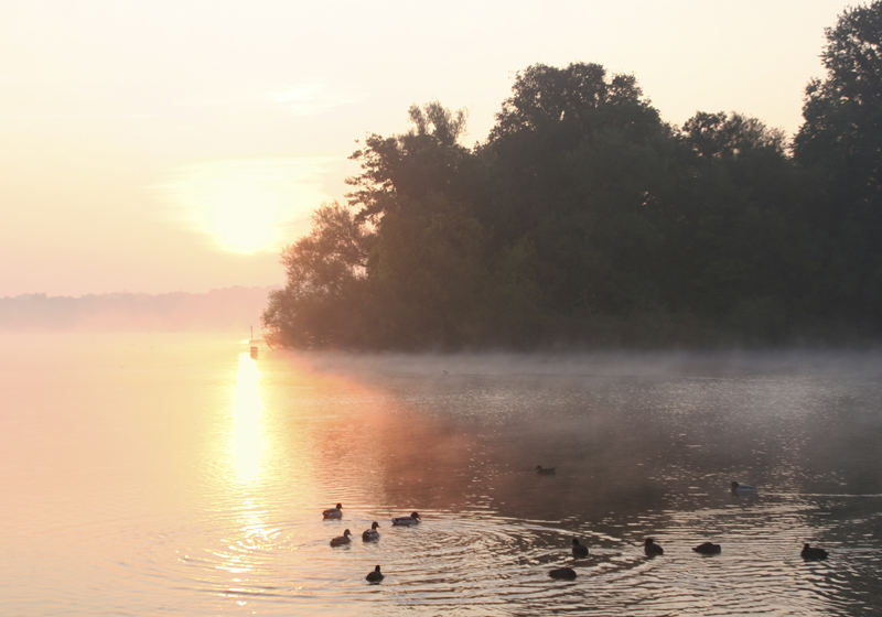 Morgenstimmung an der Havel