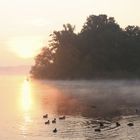 Morgenstimmung an der Havel