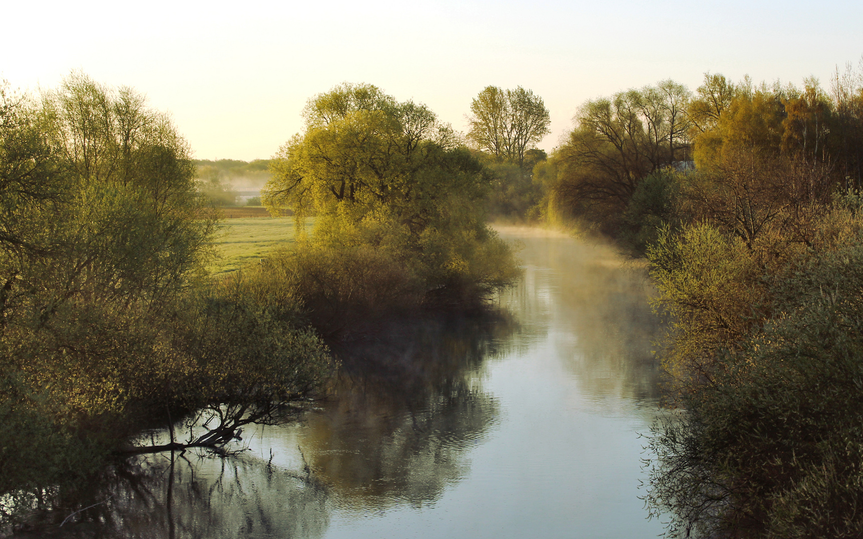 Morgenstimmung an der Leine