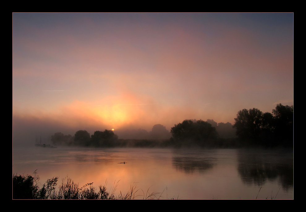 Morgenstimmung an der Lesum #4