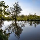 Morgenstimmung an der Lippe