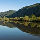 Morgenstimmung an der Mosel 027 