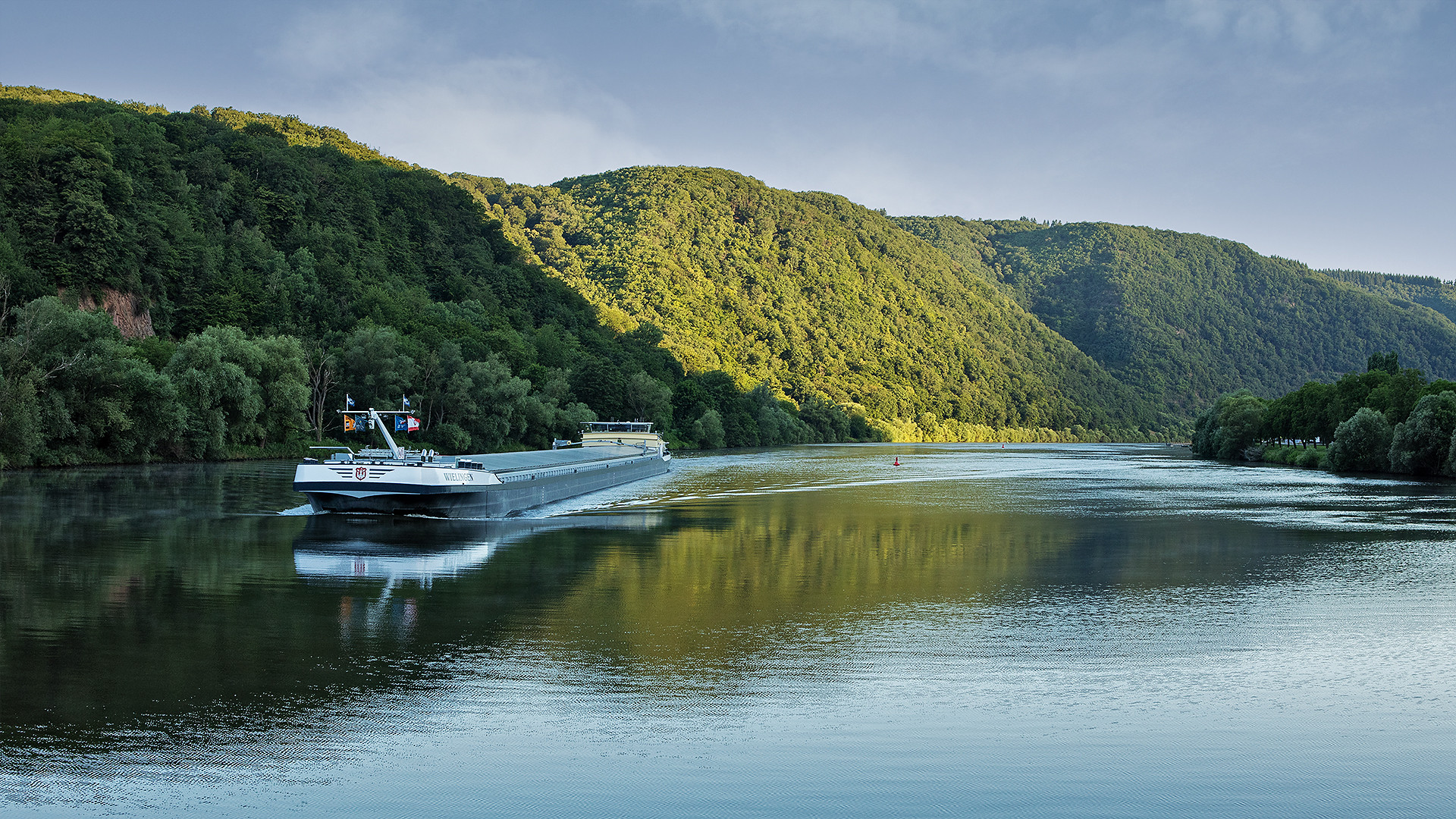 Morgenstimmung an der Mosel 059 