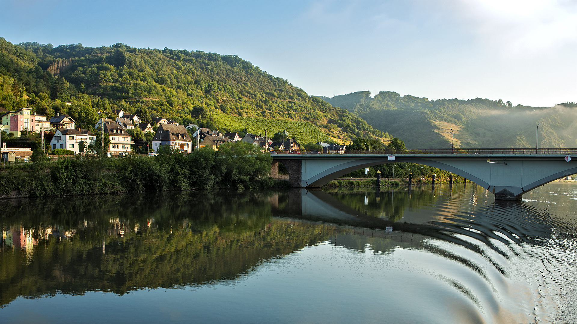 Morgenstimmung an der Mosel 064 