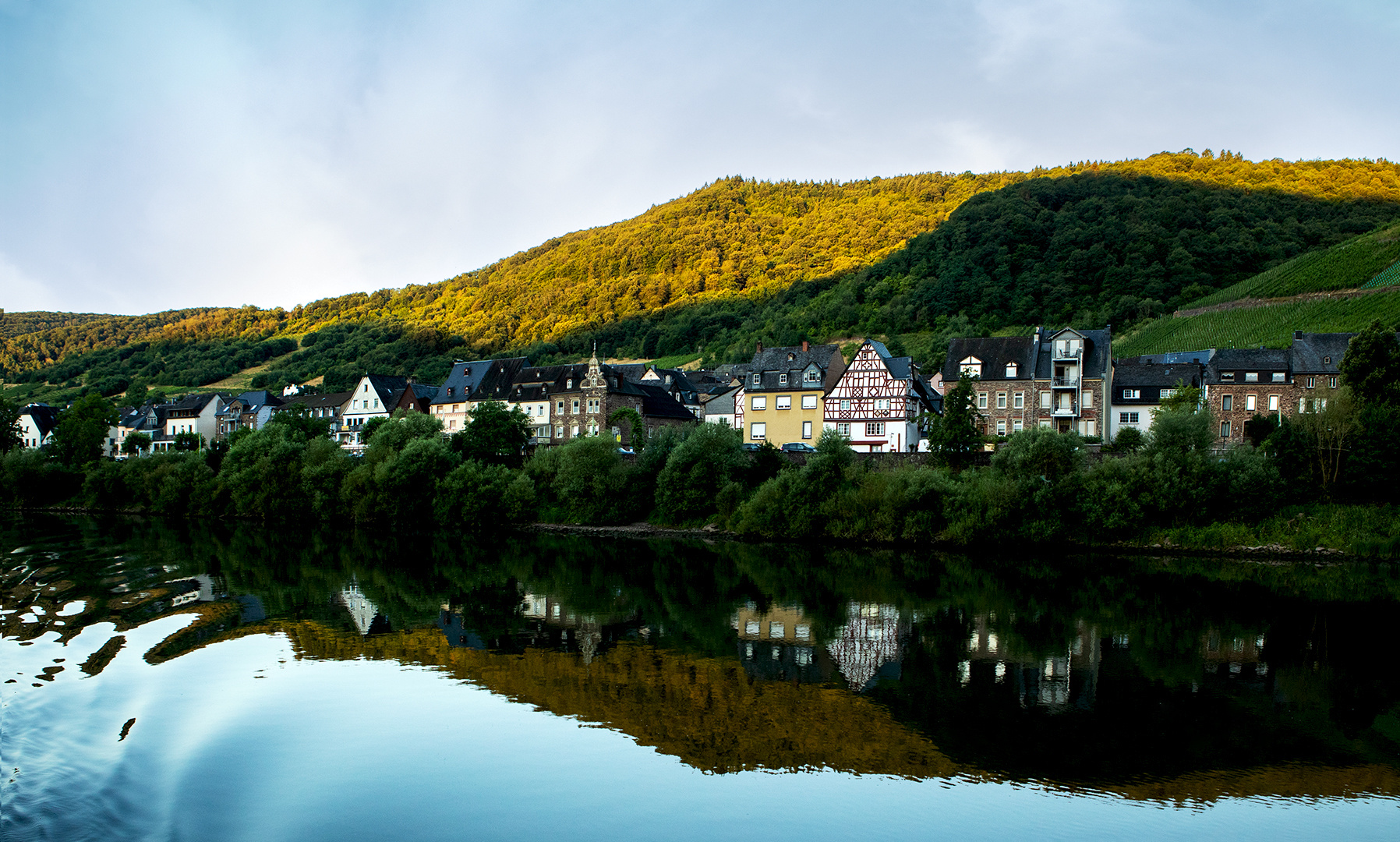 Morgenstimmung an der Mosel 082 