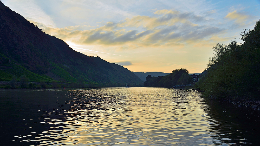 Morgenstimmung an der Mosel 2.