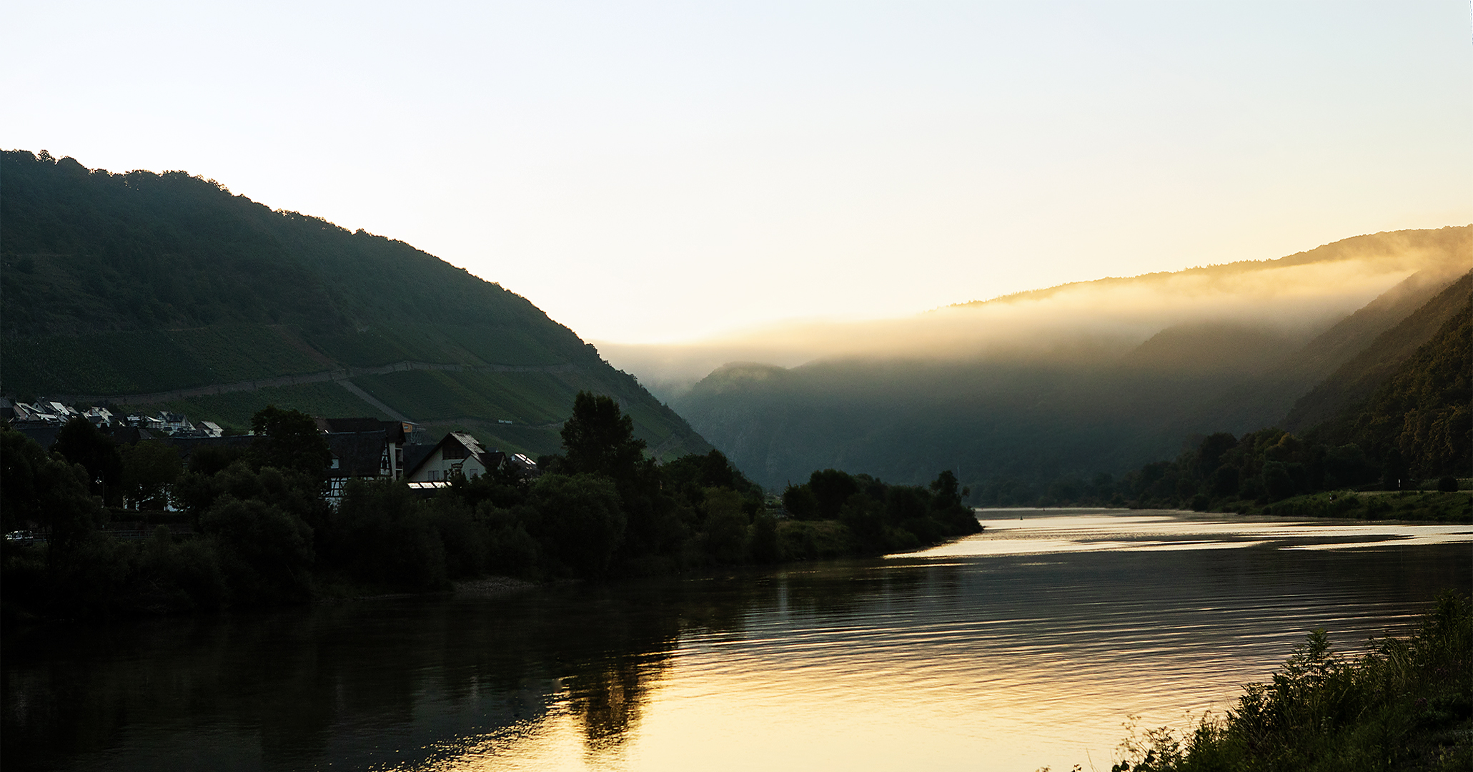 Morgenstimmung an der Mosel 207 