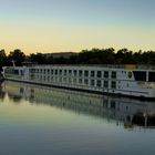 Morgenstimmung an der Mosel 219 