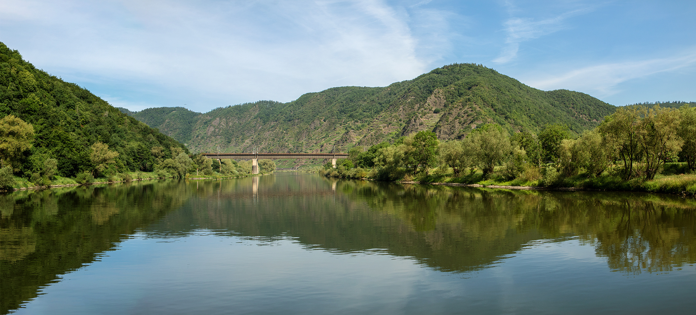 Morgenstimmung an der Mosel 258 