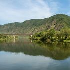 Morgenstimmung an der Mosel 258 