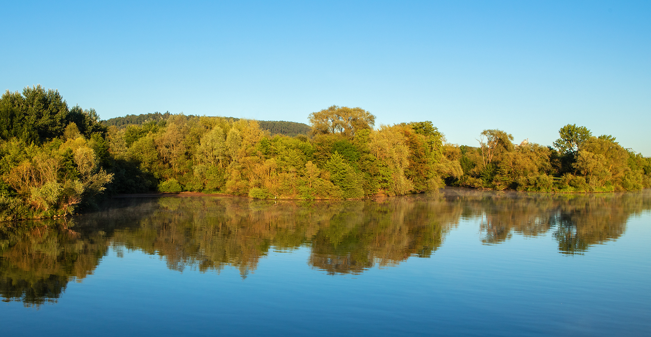 Morgenstimmung an der Mosel 307 