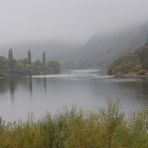 Morgenstimmung an der Mosel.