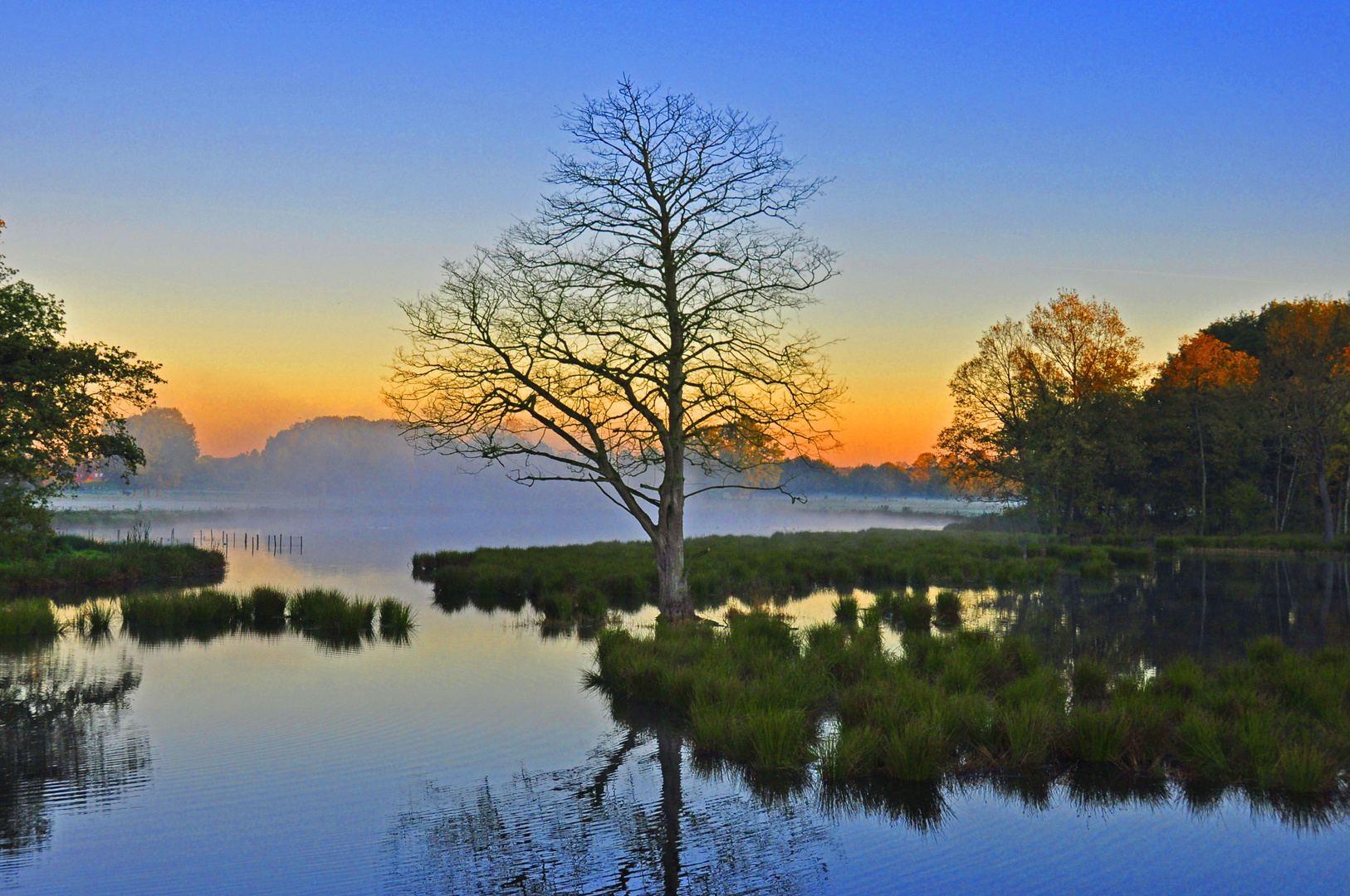 Morgenstimmung an der Nette