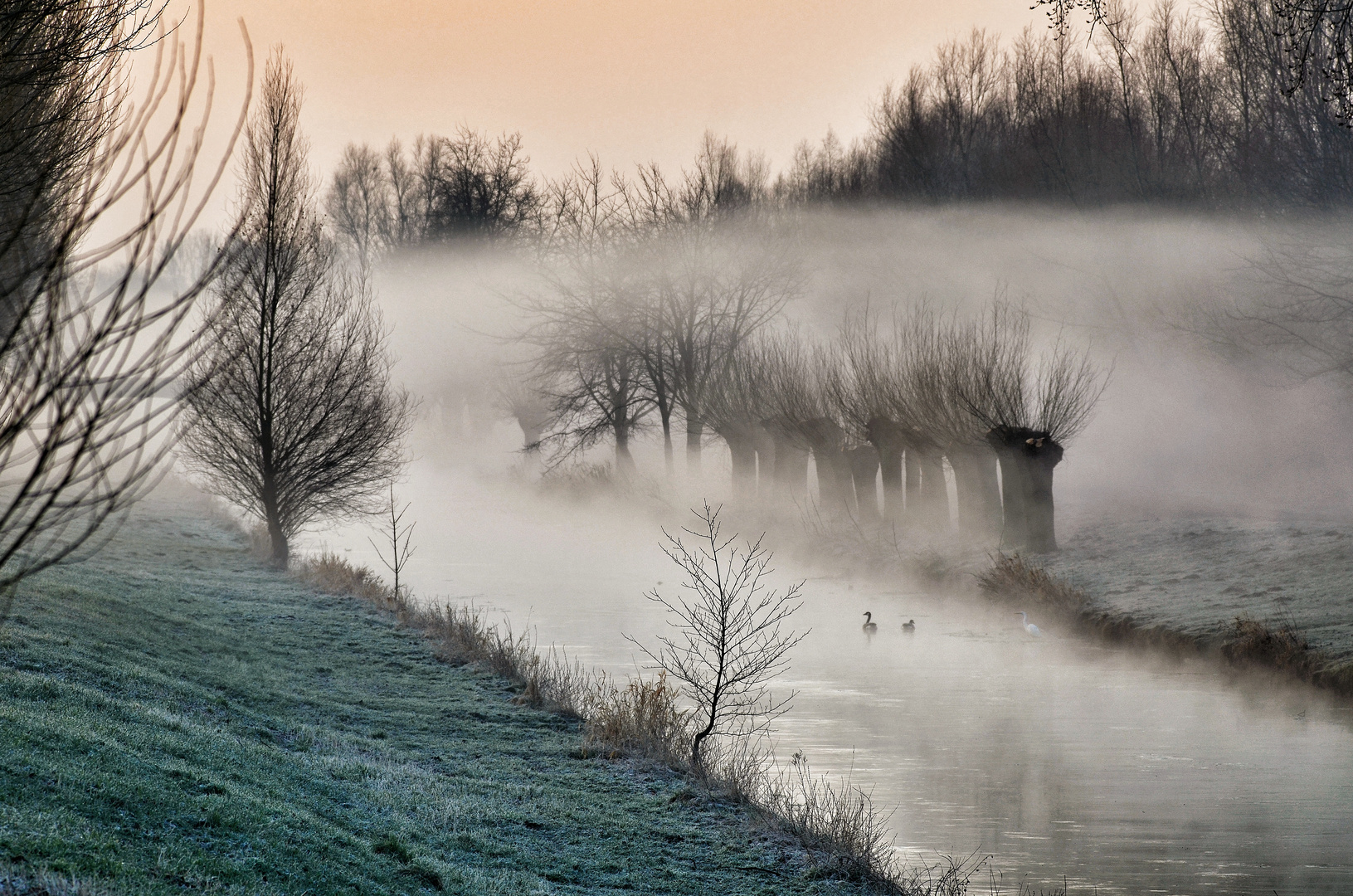 Morgenstimmung an der Niers