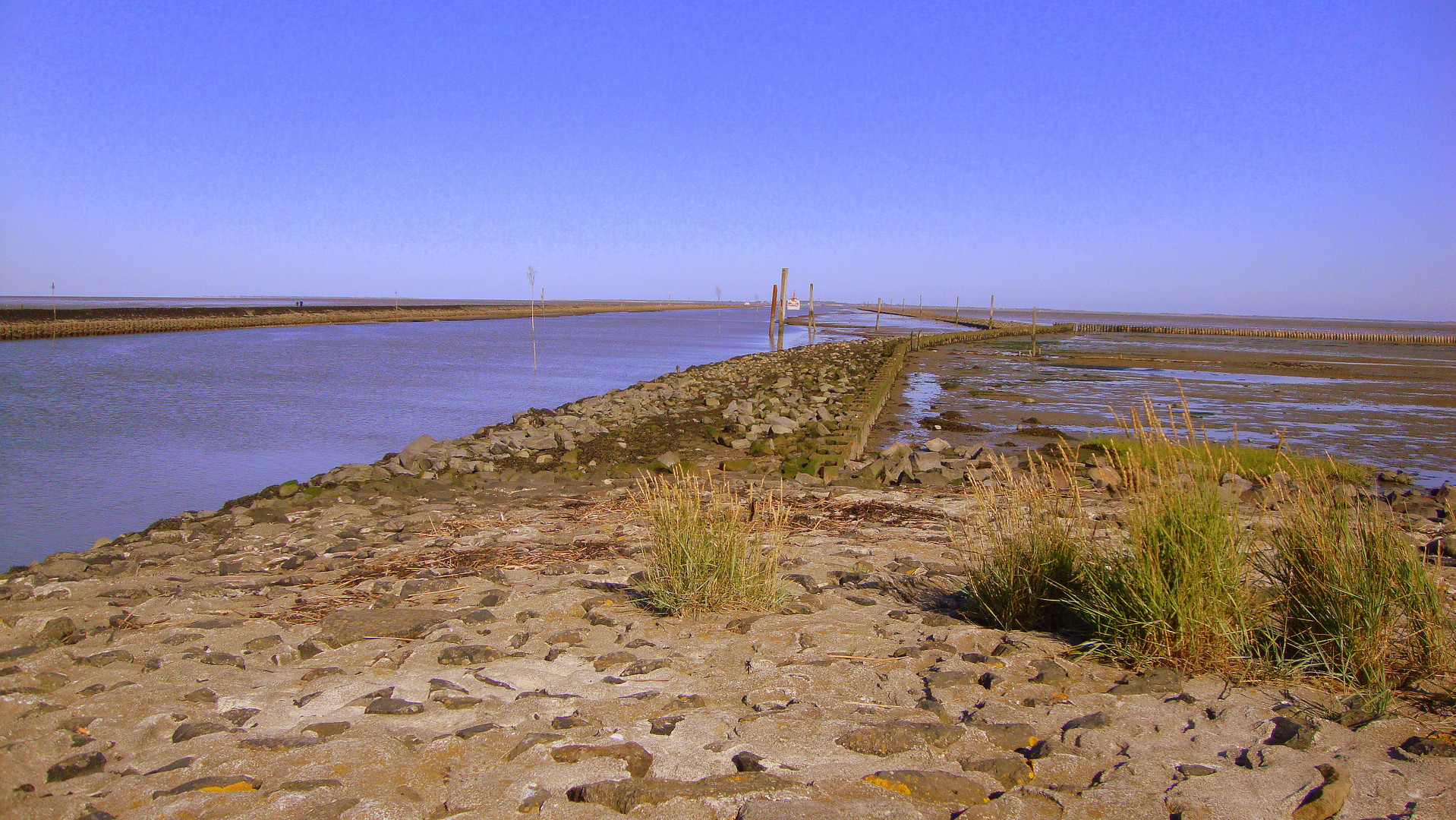 Morgenstimmung an der Nordsee