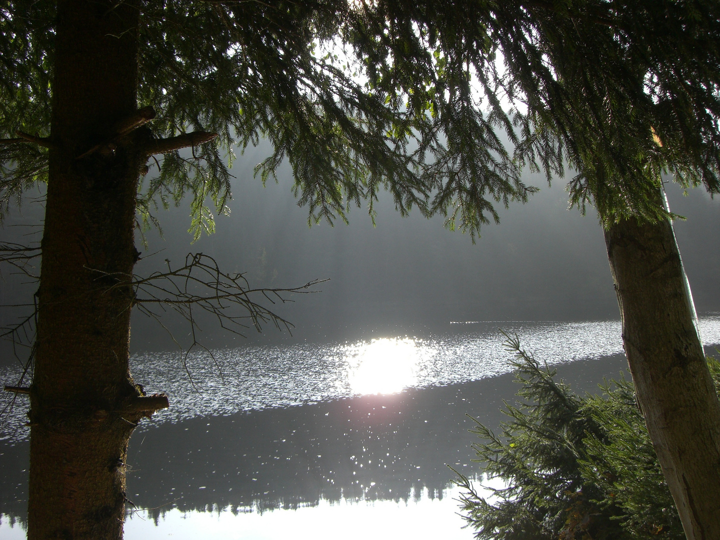 morgenstimmung an der oker