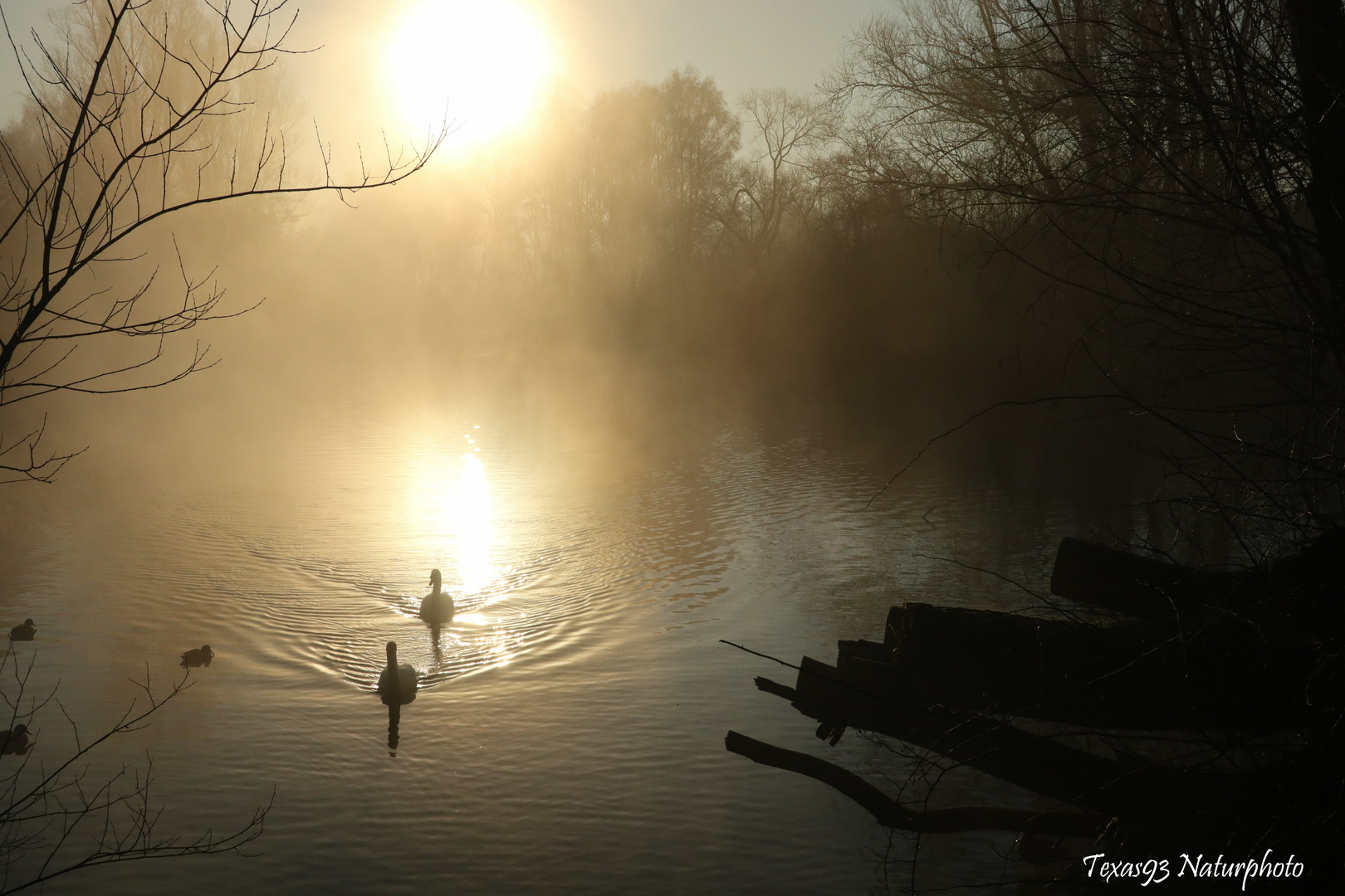 Morgenstimmung an der Ruhr