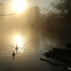 Morgenstimmung an der Ruhr