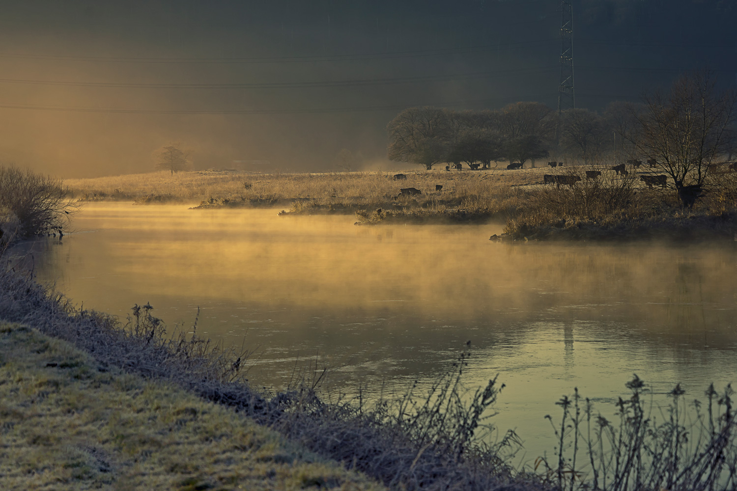 Morgenstimmung an der Ruhr